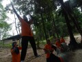Tn DSC 6206